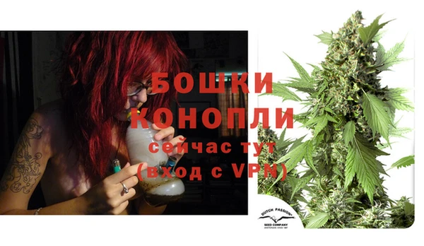 кокс Верея