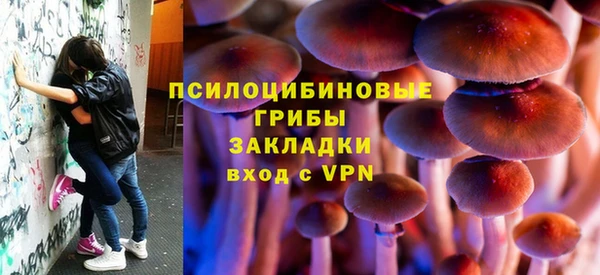 дурь Бугульма
